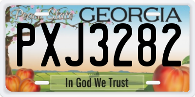 GA license plate PXJ3282