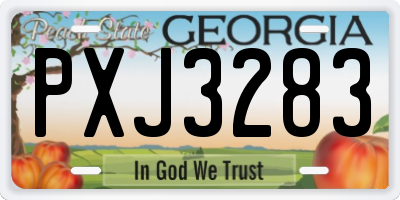 GA license plate PXJ3283