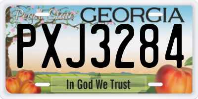GA license plate PXJ3284