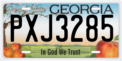 GA license plate PXJ3285