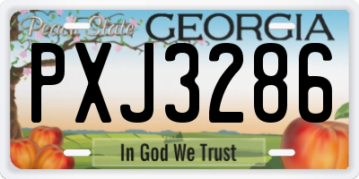 GA license plate PXJ3286