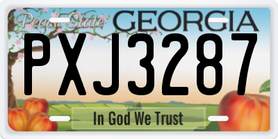 GA license plate PXJ3287