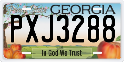 GA license plate PXJ3288
