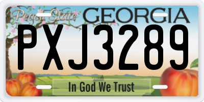 GA license plate PXJ3289