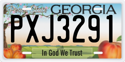 GA license plate PXJ3291