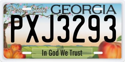 GA license plate PXJ3293