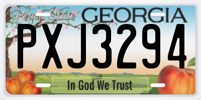 GA license plate PXJ3294