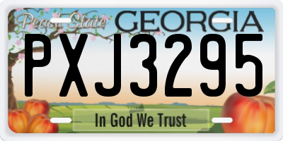 GA license plate PXJ3295