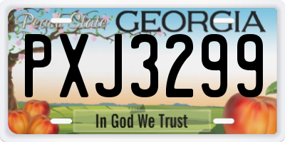 GA license plate PXJ3299