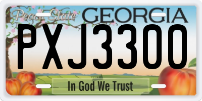 GA license plate PXJ3300