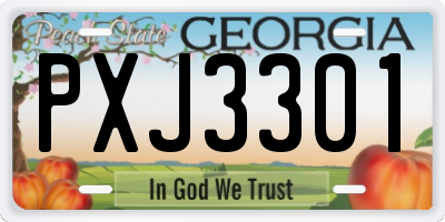 GA license plate PXJ3301
