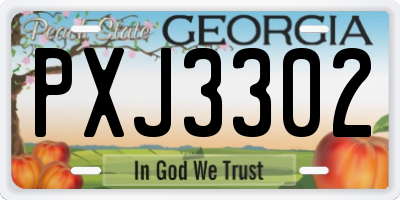 GA license plate PXJ3302