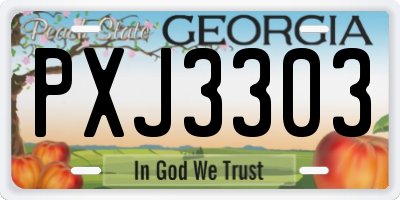 GA license plate PXJ3303