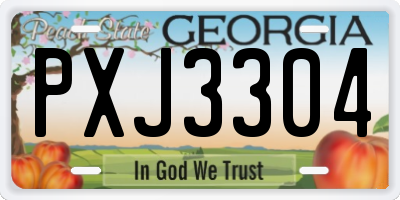 GA license plate PXJ3304