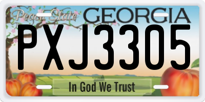 GA license plate PXJ3305