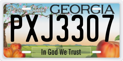 GA license plate PXJ3307
