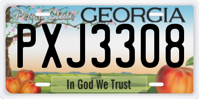 GA license plate PXJ3308