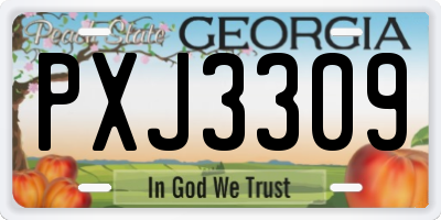 GA license plate PXJ3309