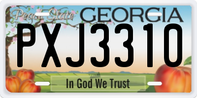 GA license plate PXJ3310