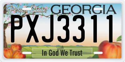 GA license plate PXJ3311