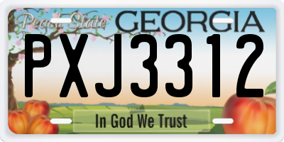 GA license plate PXJ3312