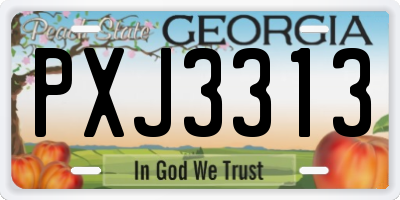 GA license plate PXJ3313