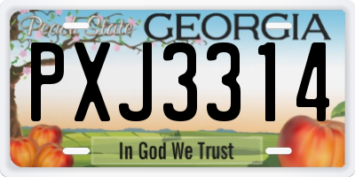 GA license plate PXJ3314