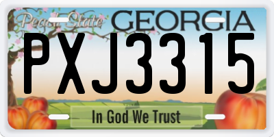 GA license plate PXJ3315