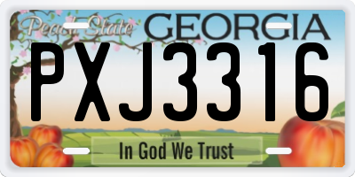 GA license plate PXJ3316