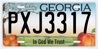 GA license plate PXJ3317