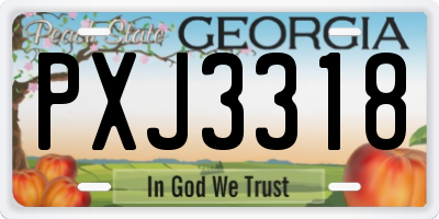 GA license plate PXJ3318