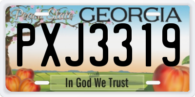 GA license plate PXJ3319