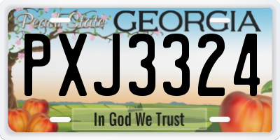 GA license plate PXJ3324