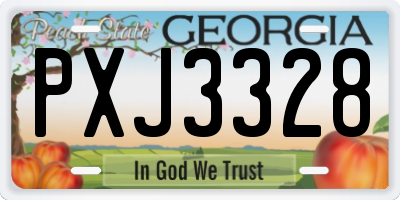 GA license plate PXJ3328