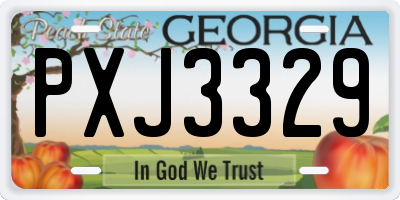 GA license plate PXJ3329