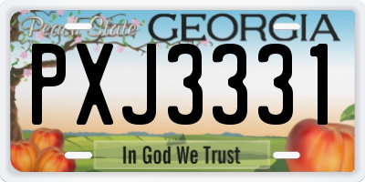 GA license plate PXJ3331