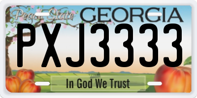 GA license plate PXJ3333