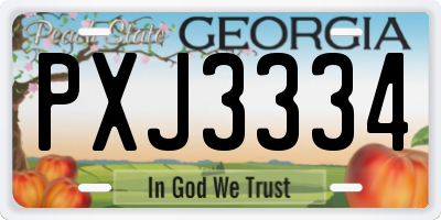 GA license plate PXJ3334
