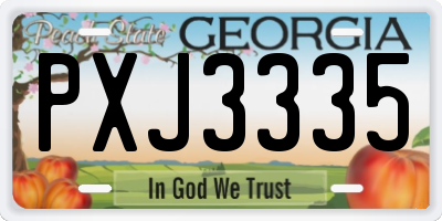 GA license plate PXJ3335
