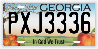 GA license plate PXJ3336