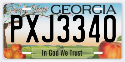 GA license plate PXJ3340
