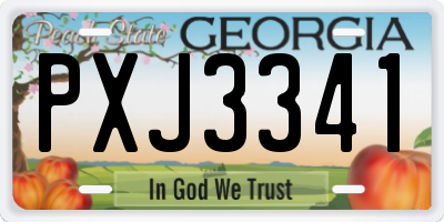 GA license plate PXJ3341