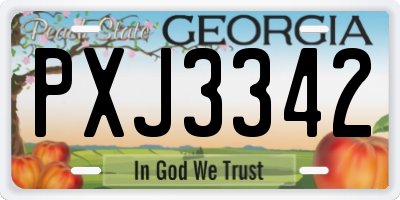 GA license plate PXJ3342