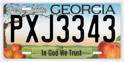 GA license plate PXJ3343