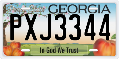 GA license plate PXJ3344