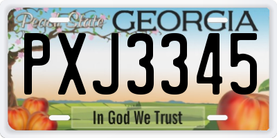GA license plate PXJ3345