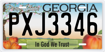 GA license plate PXJ3346