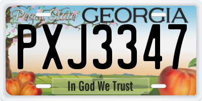 GA license plate PXJ3347