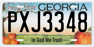 GA license plate PXJ3348