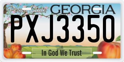 GA license plate PXJ3350